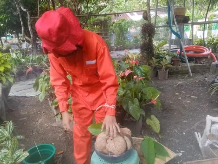 Farm stay Jolits Ecogarden