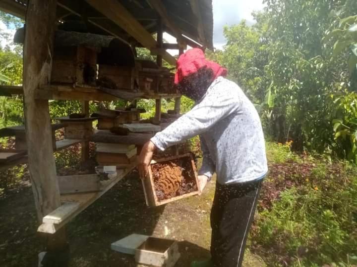 Farm stay Jolits Ecogarden