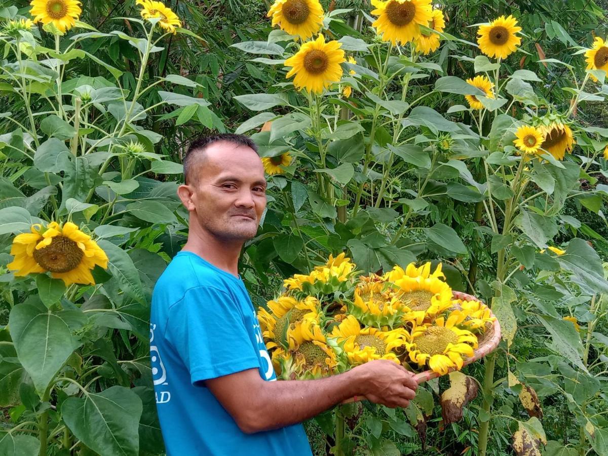 Jolits Ecogarden