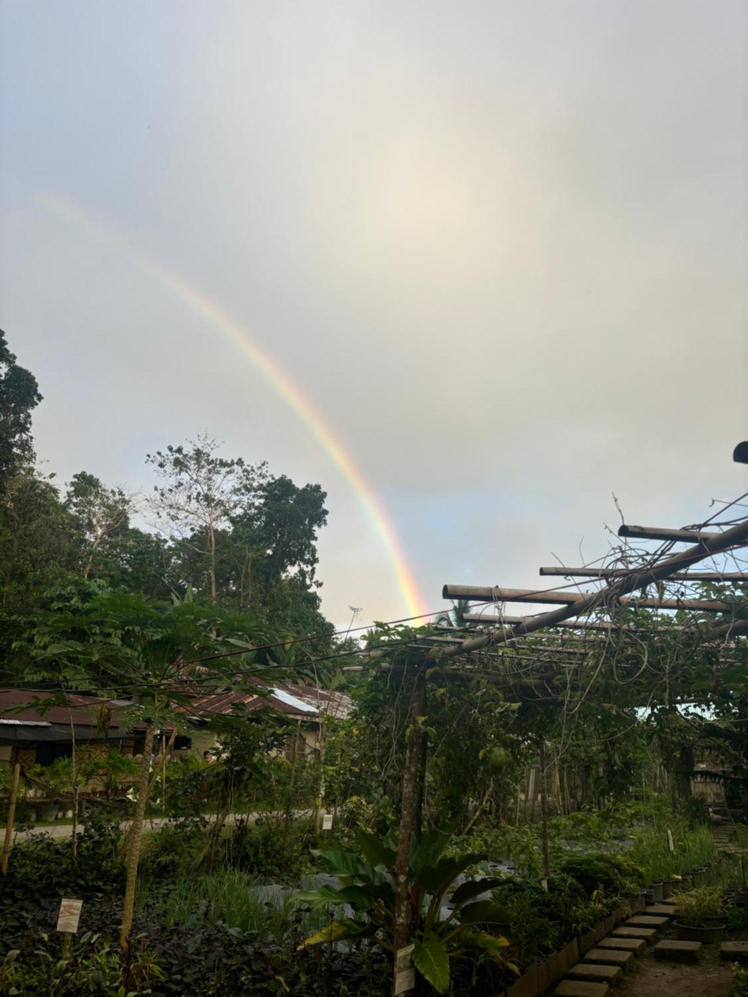 Jolits Ecogarden