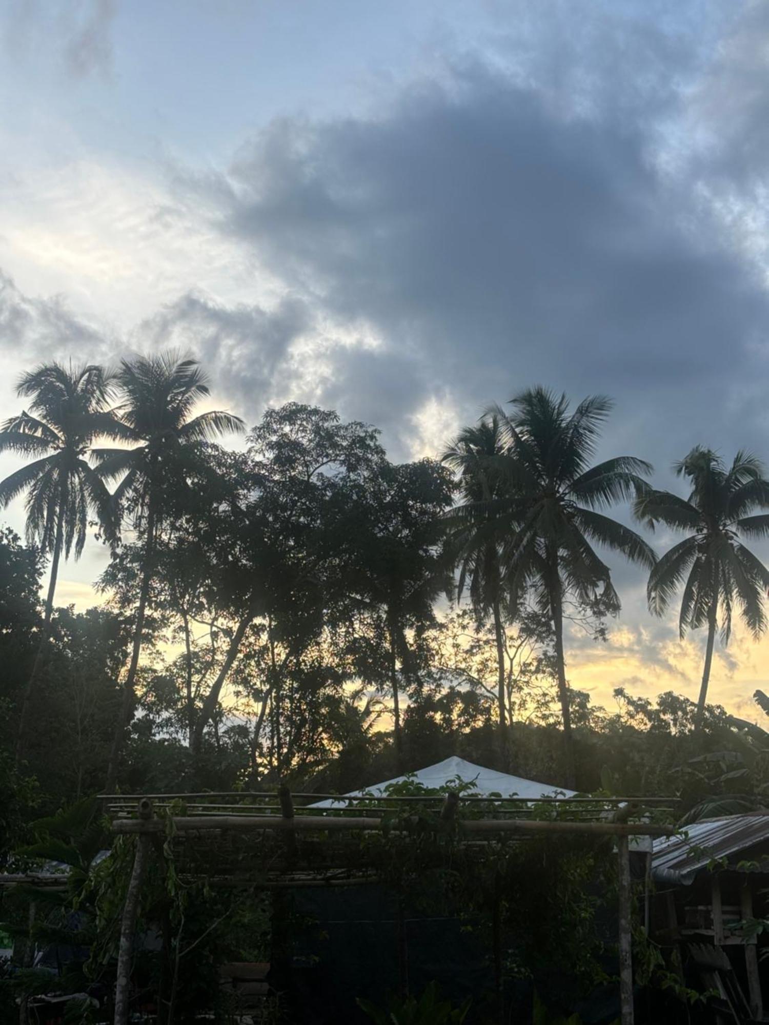 Jolits Ecogarden Farm stay Batuan